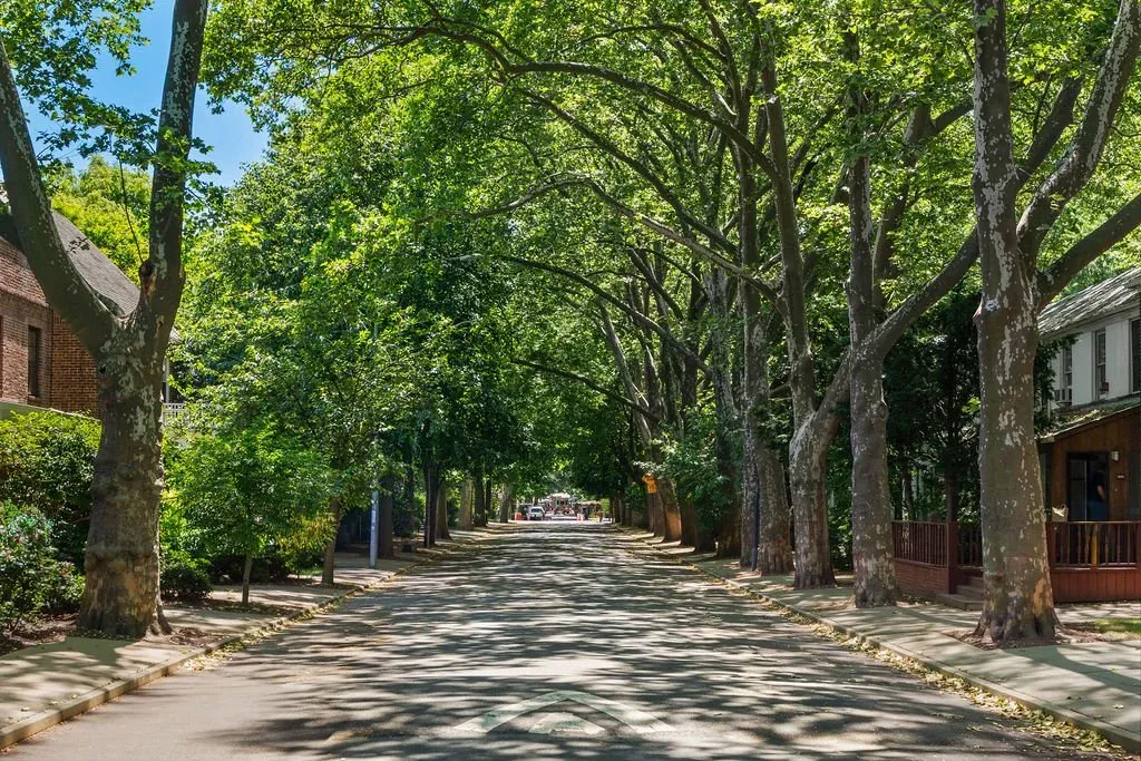 Tree-lined residential street in Sunnyside Gardens